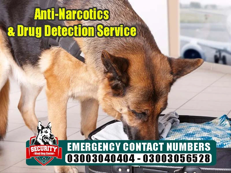anti narcotics drug detection service, army dog center, khoji dog center, khoji kutta