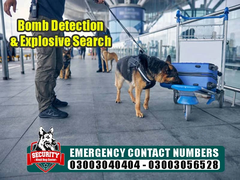 bomb detection explosive search, army dog center, khoji dog center, khoji kutta