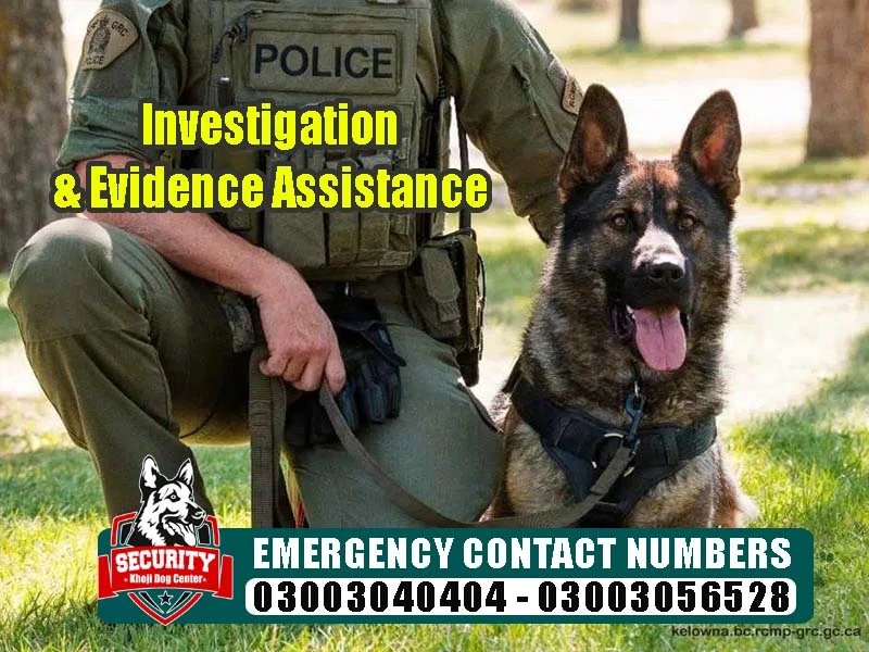 investigation evidence assistance, army dog center, khoji dog center, khoji kutta